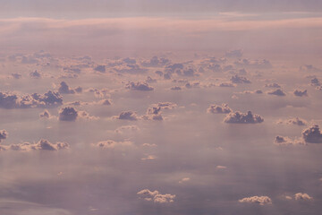 Fototapeta premium flock of birds in the fog