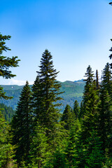 Nature of Georgia: Guria region, Gomis Mta