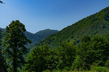 Fototapeta na wymiar Nature of Georgia: Guria region, Gomis Mta