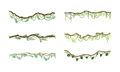 Liana as Long-stemmed Woody Vine Climbing and Tangled Around Tree Vector Set