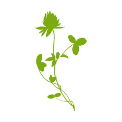 Red clover, shamrock wild field flower silhouette isolated on white background, hand drawn vector illustration shape for design package tea, cosmetic, medicine, greeting card, wedding invitations