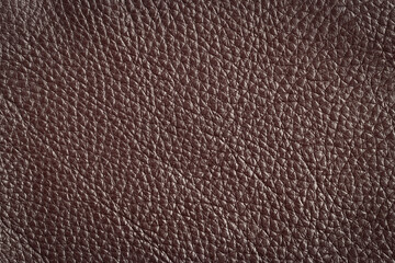 Abstract glossy texture of dark brown leather. Natural environmental material. Close up of background for design.
