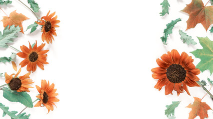 Obraz premium A frame of sunflowers and maple and oak leaves is on a white background. Autumn composition. Flat lay, top view, copy space.