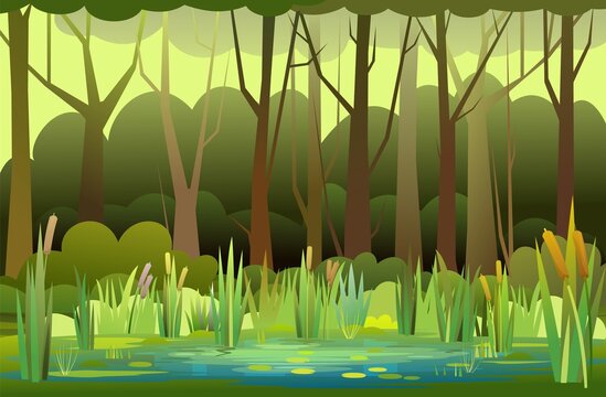 Beautiful Summer forest landscape. Swampy coast with cattails and reed. Flat style. Leaves of water lilies. Quiet river or lake. Wild overgrown pond on background of trees and bushes. Illustration