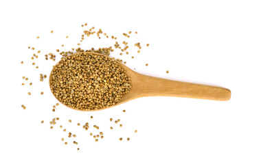 Top view of Coriander seeds in wooden spoon on white background