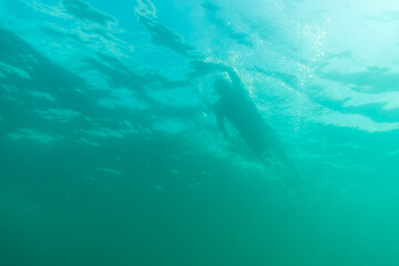 Fototapeta na wymiar Silhouette of an athlete swimming in beautiful blue water