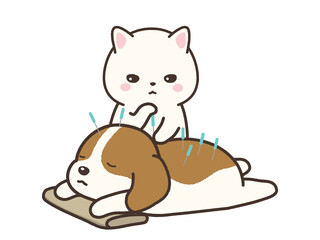 ペット鍼灸治療　犬に鍼を刺す猫