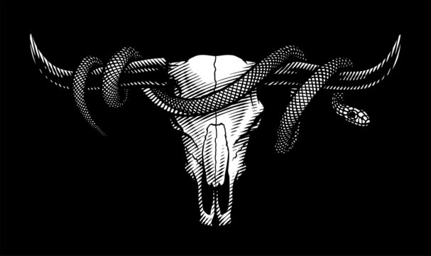 Bull skull and snake. T-shirt print design on a dark background. Vector illustration.