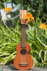 Ukulele in wild flowers, summer photo of a ukulele