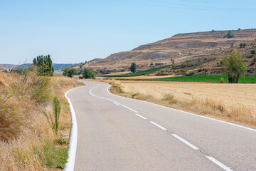 empty road with curves crossing fields of crops