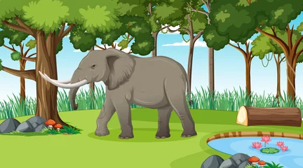 Elephant in forest or rainforest scene with many trees © blueringmedia