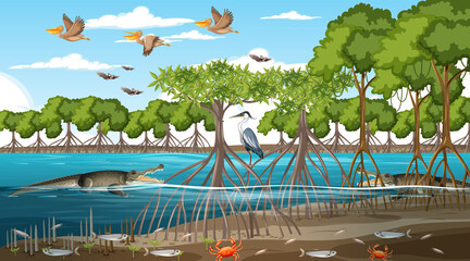 Mangrove forest landscape scene at daytime