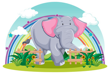 Elephant in the garden with rainbow on white background