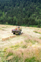 Fototapeta premium Flower pit in the trailer