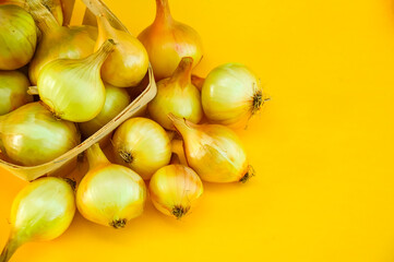 Yellow onion isolated on a yellow background. Buying onions in the store. Harvesting onions. Healthy diet. Shopping