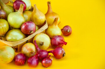 Yellow and pink onion isolated on yellow background. Buying onions in the store. Harvesting onions. Healthy diet. Shopping