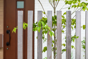 家の庭の植木と木の垣根