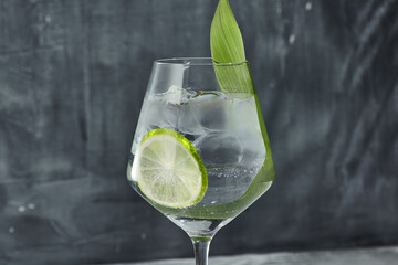 Asian Gin tonic cocktail for lifestyle design. Summer cocktail asian concept background. Gin tonic drink with lime slice and banana leaf. Cocktail in wine glass with palm leaf shadow.