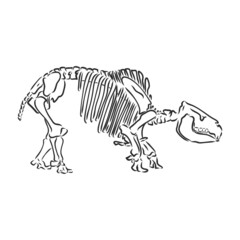 Vector Image - dinosaurs skeleton isolated on white background dinosaur skeleton vector sketch