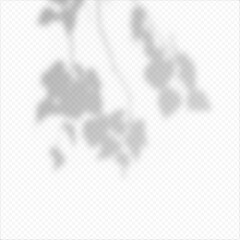 Realistic Vector transparent overlay blured shadow of branch leaves.