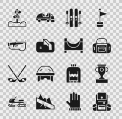Set Hiking backpack, Award cup, Sport bag, Ski and sticks, Ice hockey goal, Biathlon rifle, Road traffic signpost and Skate park icon. Vector