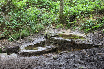 Ancien abreuvoir au pied d'une source dans le massif de la Serre (Jura)