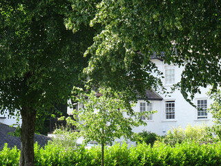 River Dart at Totnes