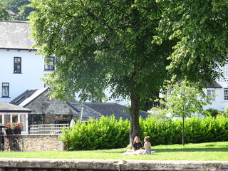 River Dart at Totnes