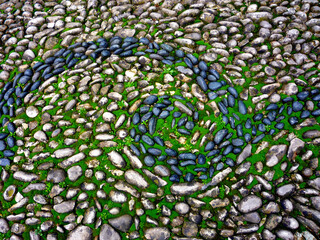 Pebble stones arranged in wave pattern on ground with grass in between in patio or indoor park...