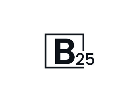 B25, 25B Initial letter logo
