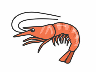 茹でたエビのイラスト