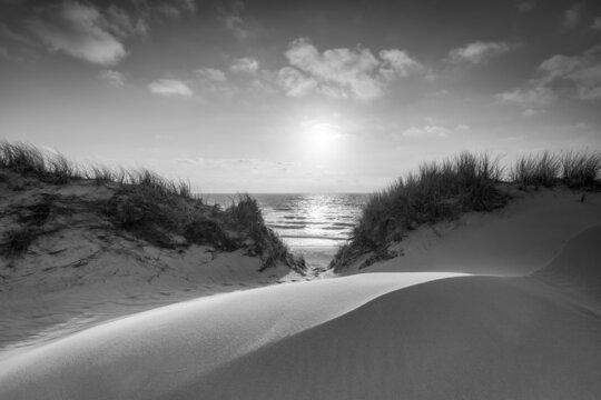Sand dune near the beach in black and white