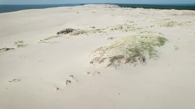 Curonian Spit, Efa dune. A sand dune is bordered by a forest.