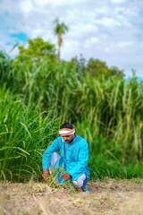 indian farmer at sugarcane field