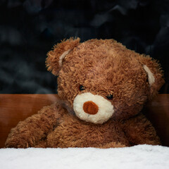 A sad toy Teddy Bear is watching what is happening behind a snow-covered window.