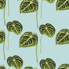 Floral seamless pattern, Alocasia plant leaves on blue background.