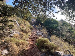 Ascent from Oludeniz . Lycian way. Turkey