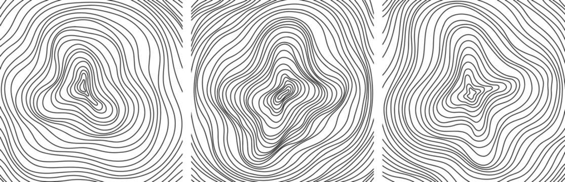 Abstract tree rings. Vector topographic map concept. Seamless background. Thin black lines on white
