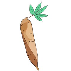 illustration cassava flour with leaf isolated on white background 