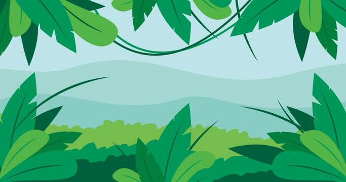 refreshing green nature atmosphere in a forest full of leaves and plants in an animated video
