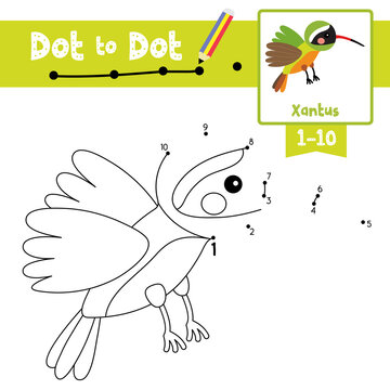 Dot to dot educational game and Coloring book Flying Xantus Hummingbird animal cartoon character vector illustration