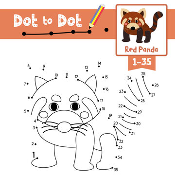 Dot to dot educational game and Coloring book Red Panda animal cartoon character vector illustration