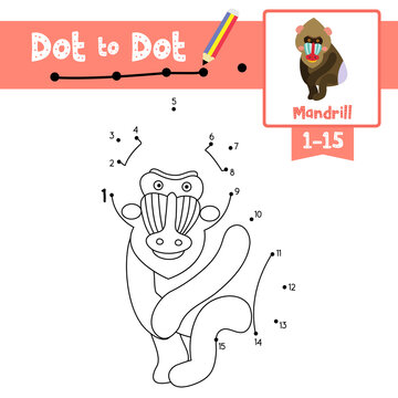 Dot to dot educational game and Coloring book Sitting Mandrill animal cartoon character vector illustration