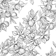 Orange tree branch with fruits, flowers and leaves. Seamless pattern, background. Graphic drawing, engraving style. Vector illustration.