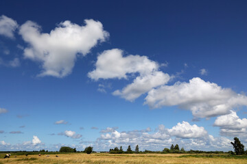 Widok z chmurami na niebieskim niebie. - obrazy, fototapety, plakaty