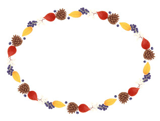 シンプルでナチュラル、カラフルなかわいい　青いベリーと紅葉、松ぼっくりのフレーム　