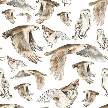 Woodland birds seamless pattern for fabric, Watercolor forest birdsseamless digital paper, Owls and eagles repeat pattern for nursery decor, textile, wrapping paper