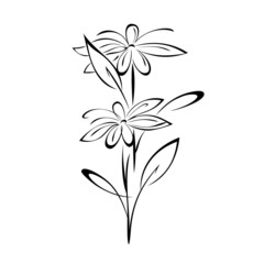 ornament 1913. two blooming stylized flowers on a stem with leaves and curls in black lines on a white background