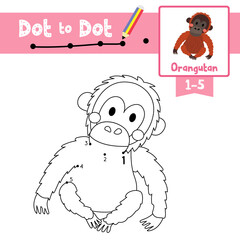 Dot to dot educational game and Coloring book Sitting Orangutan animal cartoon character vector illustration © natchapohn