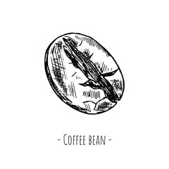 Coffee bean. Vector illustration. Isolated object on white. Hand-drawn style.
